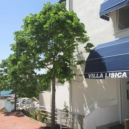 Lisica