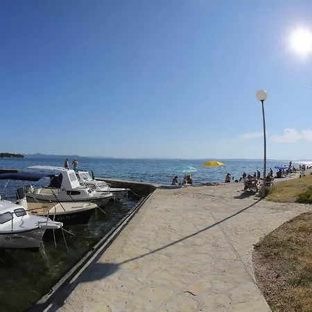 Lisica