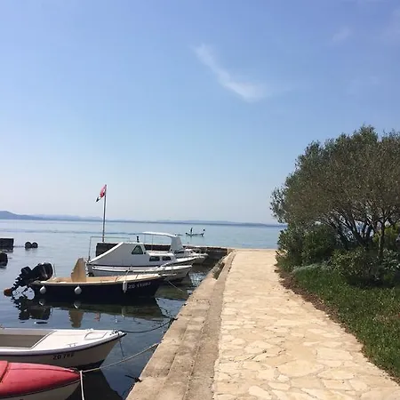 Lisica * Petrcane